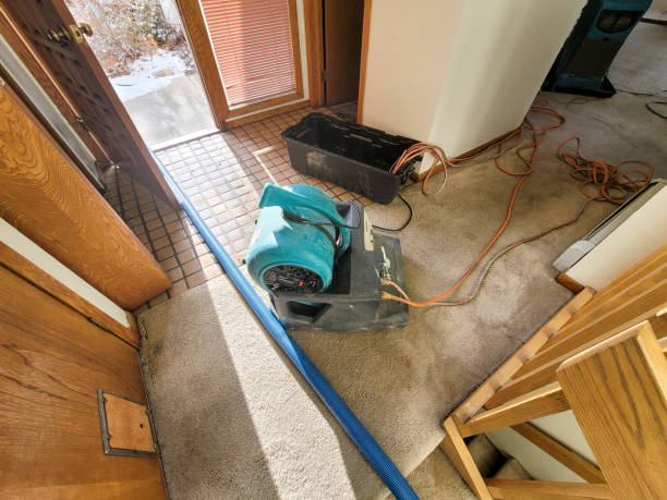 Best 24/7 water damage repair  in Keenesburg, CO