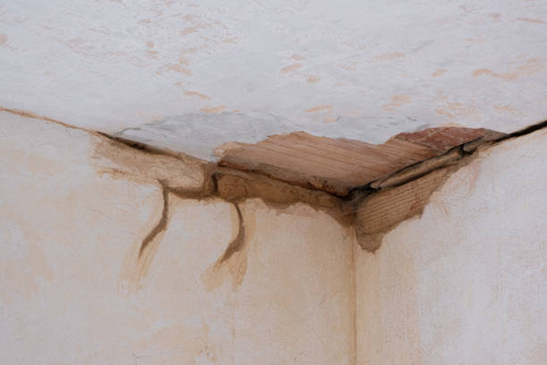 Carpet water damage restoration in Keenesburg, CO