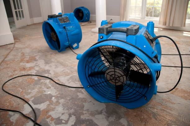 Best Professional water damage repair  in Keenesburg, CO