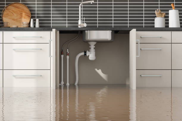 Best Water damage contractors near me  in Keenesburg, CO