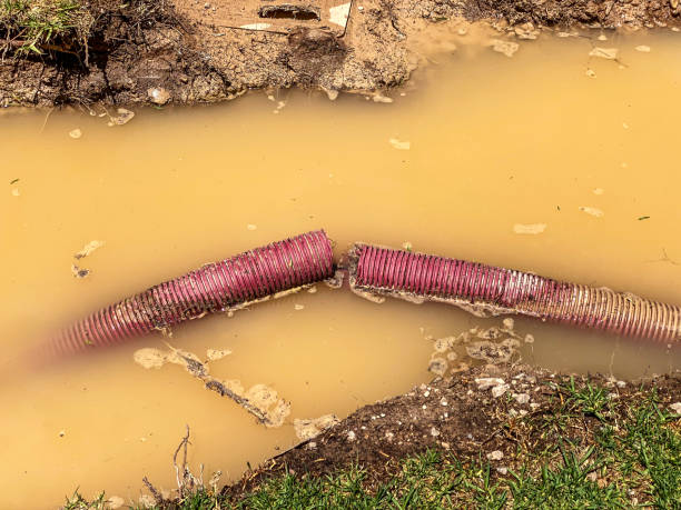 Water damage restoration mold remediation in Keenesburg, CO